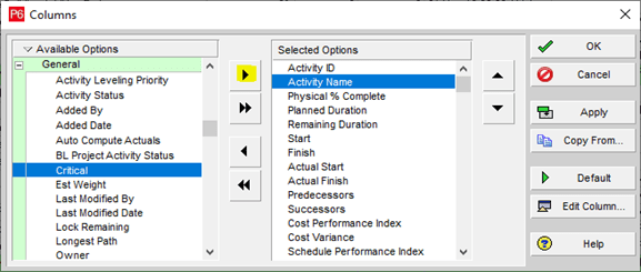Activity Name in Primavera P6
