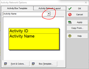 Activity Network Option dialog box in Primavera P6