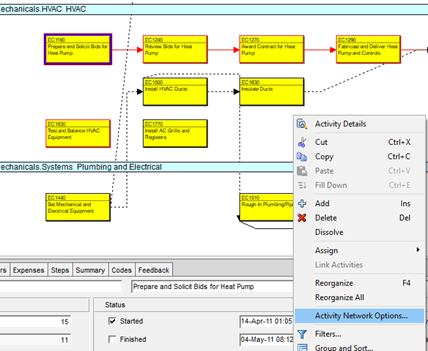 Activity Network Options in Primavera P6