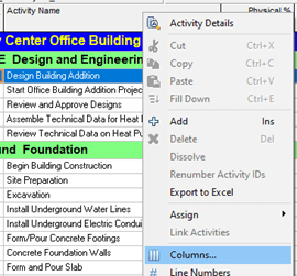 Columns in Primavera P6