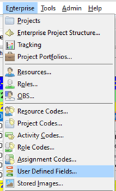 P6 user defined fields