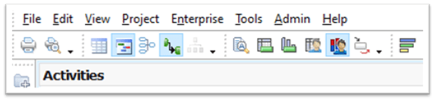 Resource Usage Profile in Primavera P6