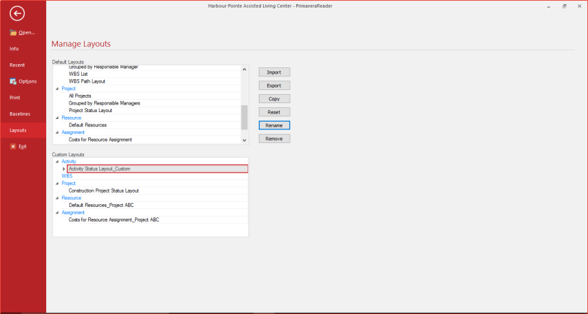 PrimaveraReader Custom Layouts