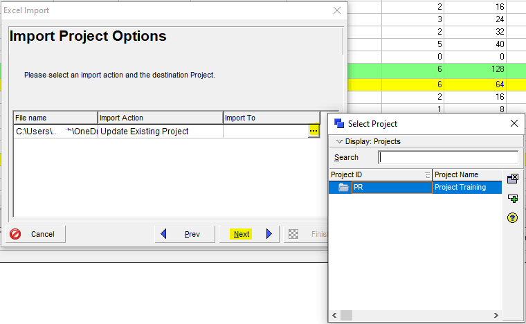 P6 import project options