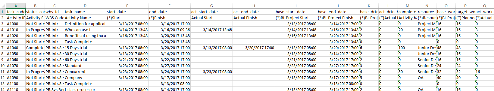 P6 unformated excel