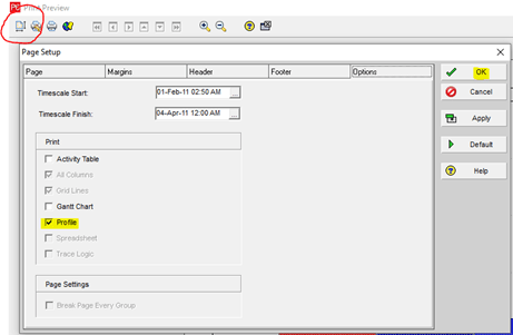 Print icon in P6