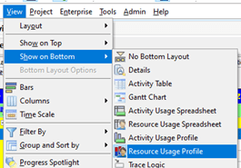 Resource usage profile menu bar in P6