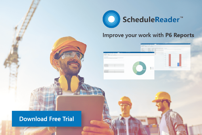 Schedule reader alternative to printing P6 reports