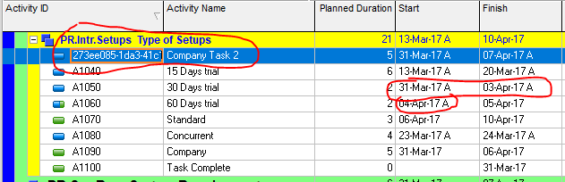 Sr P6 updates via excel