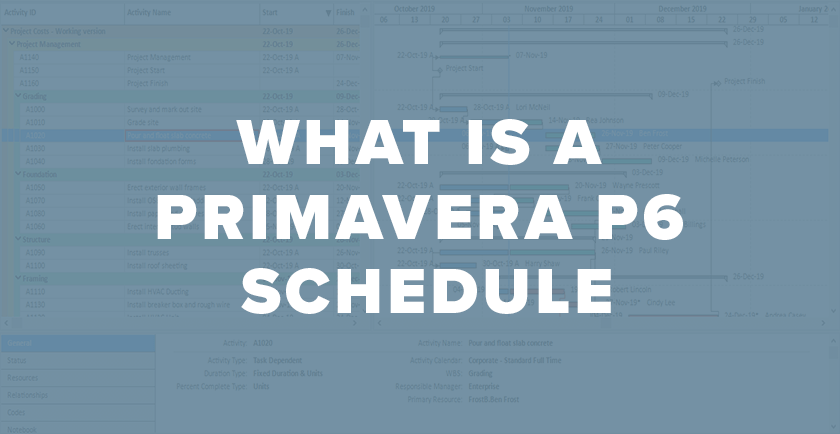 What is a Primavera P6 Schedule? – Primavera Schedules Explained
