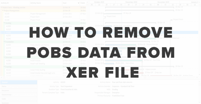 How to Remove POBS Data from Primavera P6 XER Files? – Safe & Fast