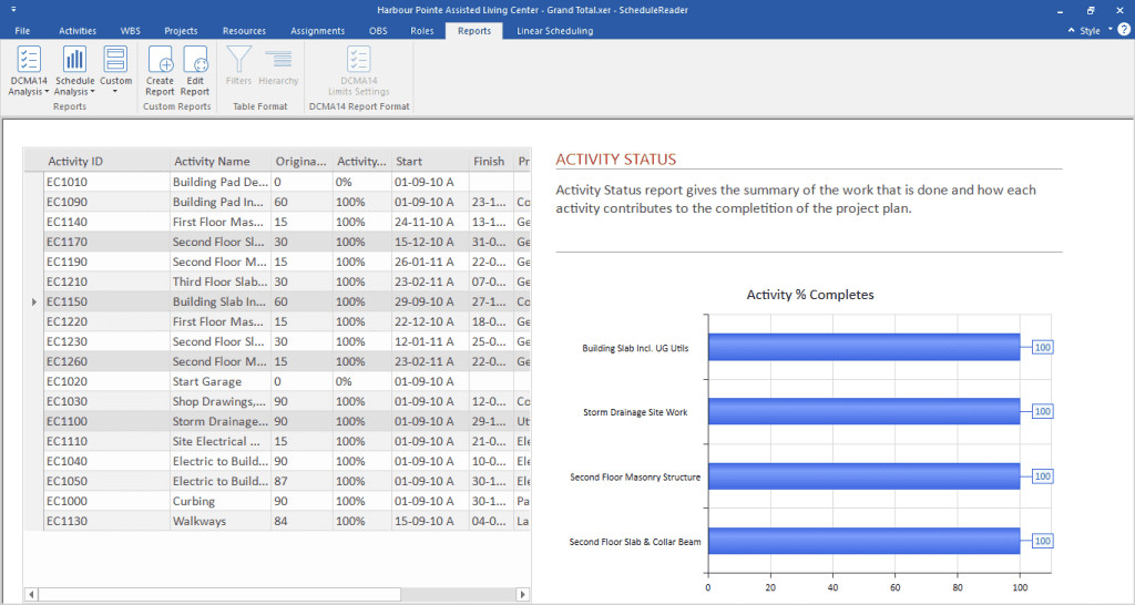 Project Controls 18 activity status report 2 1024x546 1