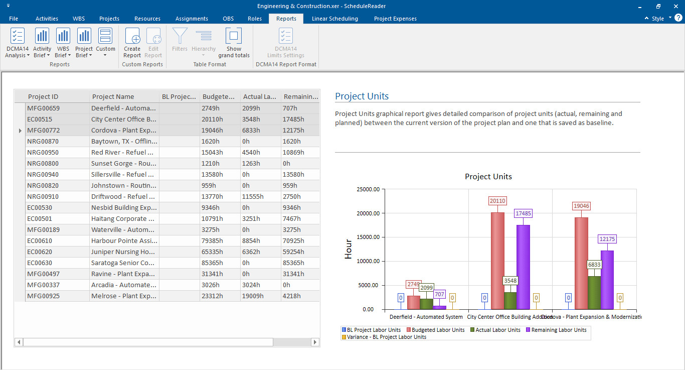Dynamic Reports and Dashboards 18 project units report0