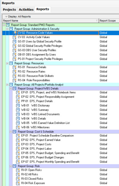 35 Primavera P6 Tips, Tricks and Shortcuts Schedulers Can't Do Without 45 reportin two min 418x650 1