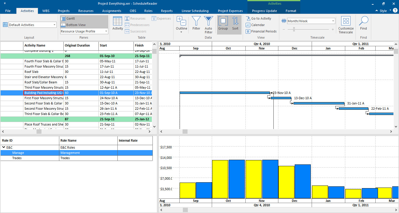 Project Controls 9 resource usage profile view 10