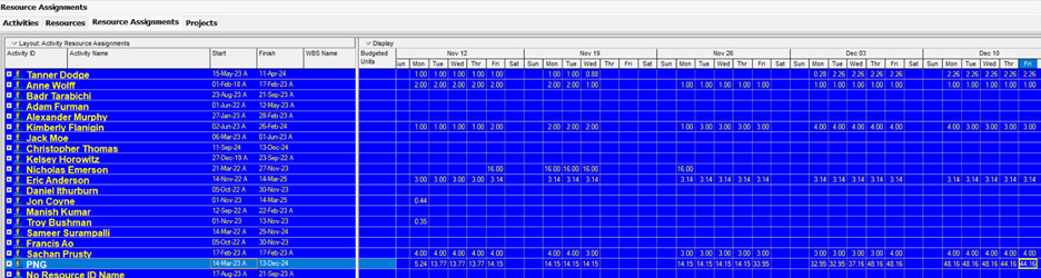 Resource Management with Primavera P6 12 rsm eight