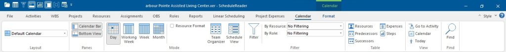 How to view activities in Calendar View? 5 calendar ribbon